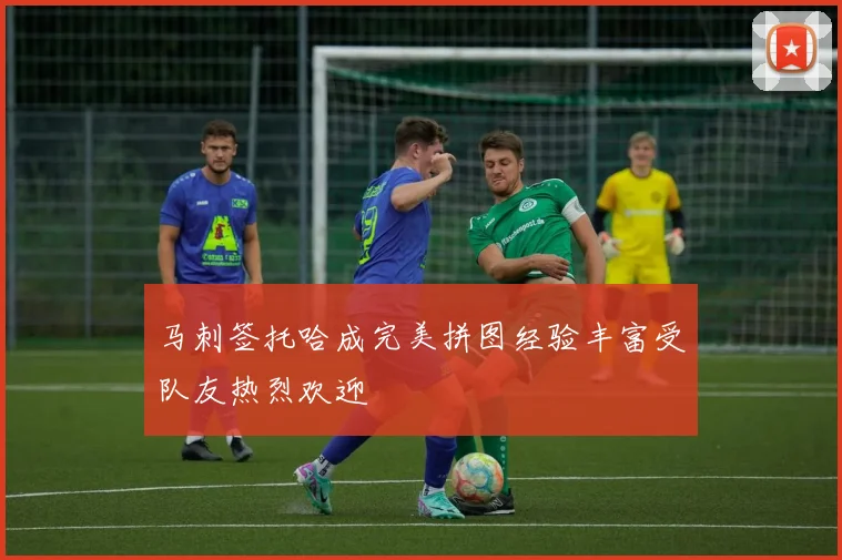 马刺签托哈成完美拼图经验丰富受队友热烈欢迎